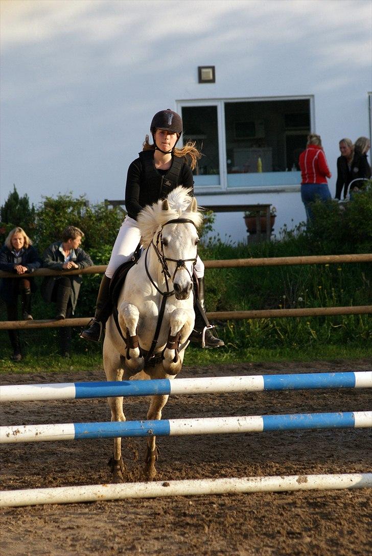 Anden særlig race Heri's Skywalker Conall billede 5