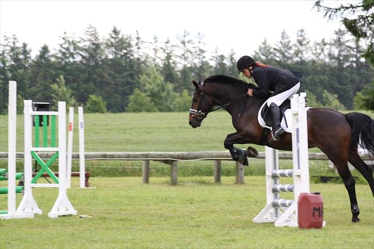 DSP ravns casanova billede 7