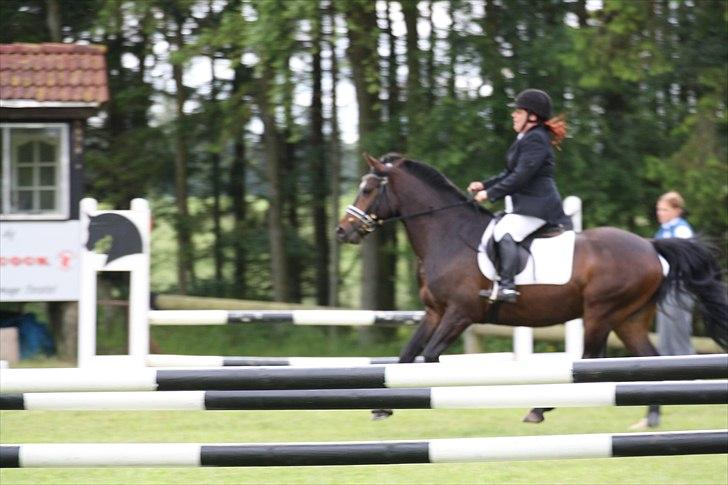 DSP ravns casanova billede 8