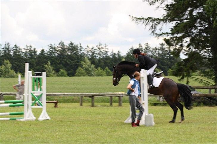 DSP ravns casanova billede 3