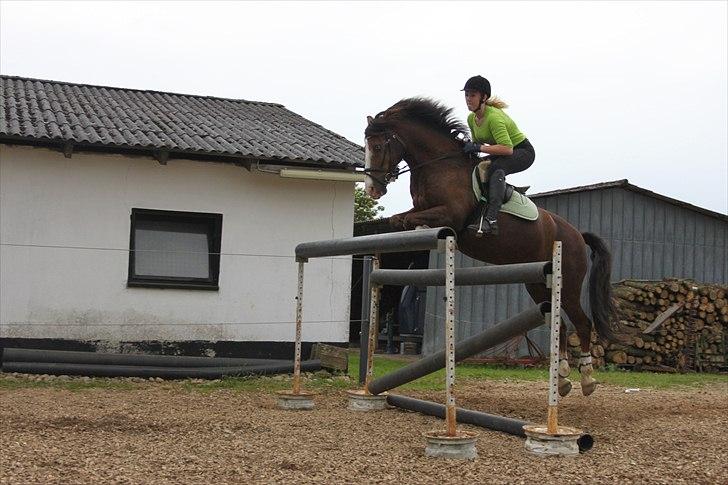 DSP simba<3 (bassemand) - 155:D billede 8