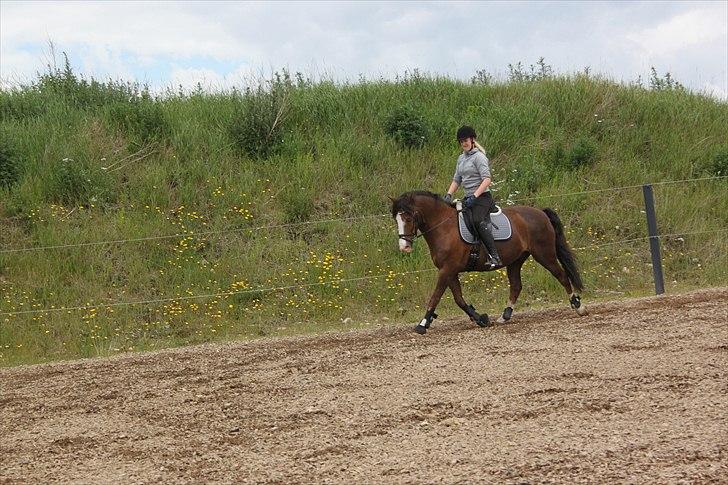 DSP simba<3 (bassemand) billede 9