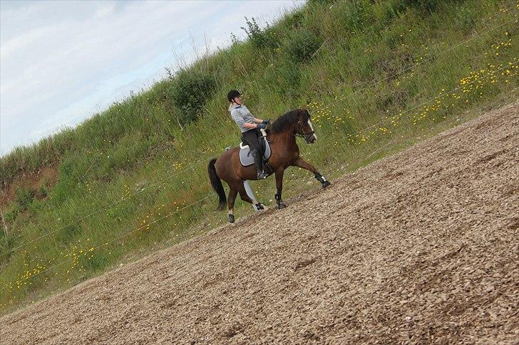 DSP simba<3 (bassemand) billede 10