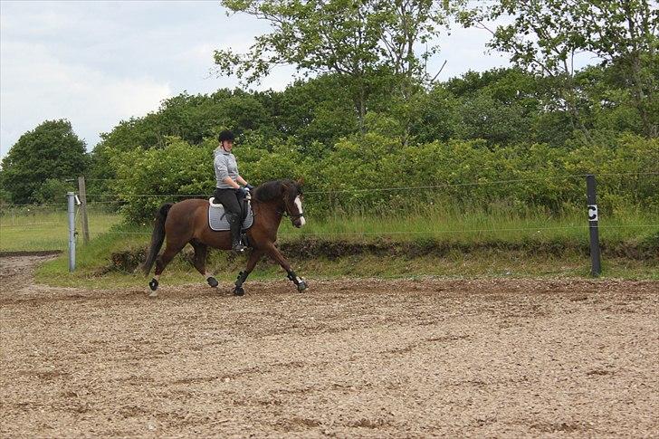 DSP simba<3 (bassemand) billede 11