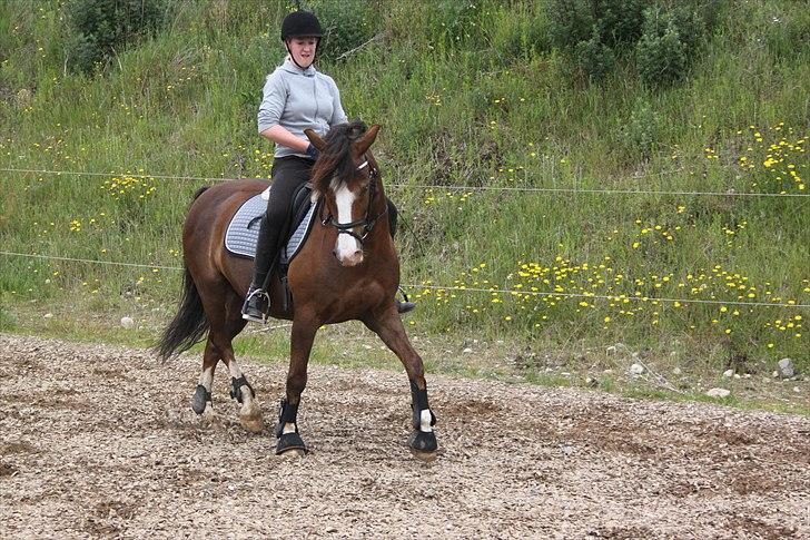 DSP simba<3 (bassemand) billede 12