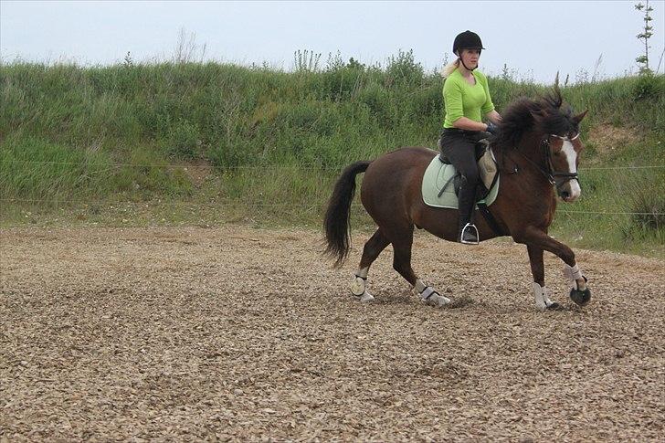 DSP simba<3 (bassemand) billede 14