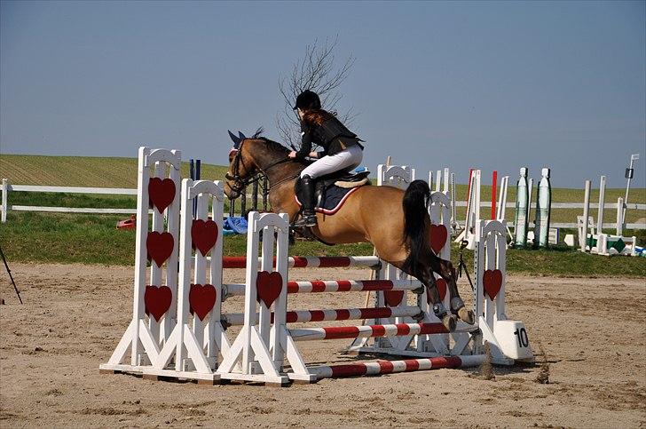 Anden særlig race Moonlight! (solgt) :-( - 18) Hsk c-stævne La** (: <3 Foto: Ida Mai Jørgensen  billede 18