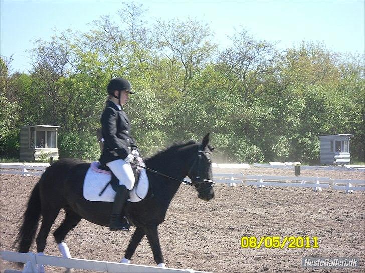 Anden særlig race Dina-SOLGT- - Lc2 mener jeg nok xD Hygge<3 billede 13