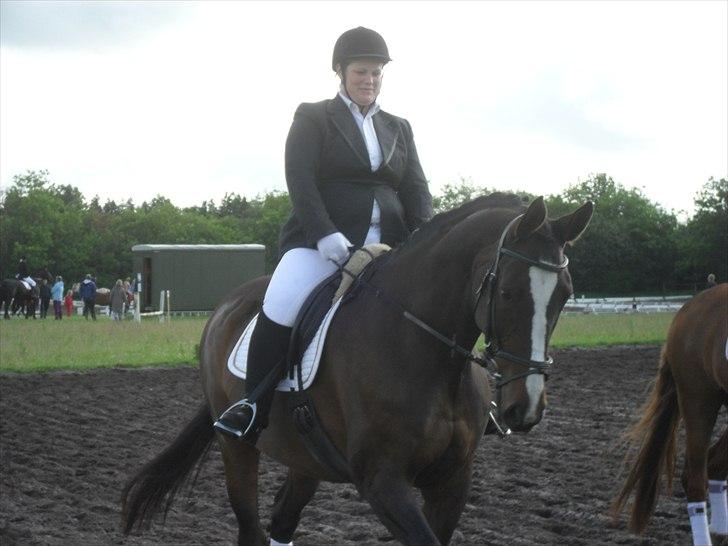 Dansk Varmblod Minelli Mosegård  - Lisette og Minelli til stævne juni 2011 billede 6