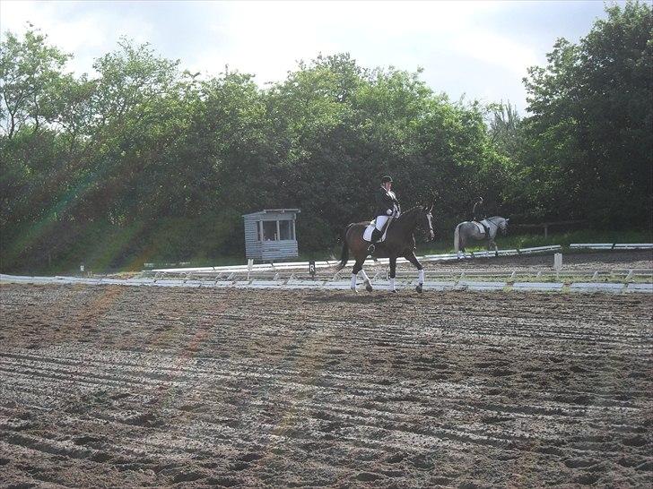 Dansk Varmblod Minelli Mosegård  - Lisette og minelli til start - stævne 2011 billede 14