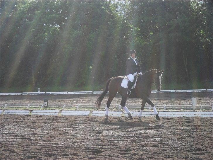 Dansk Varmblod Minelli Mosegård  - Lisette og Minelli stævne 2011 billede 15