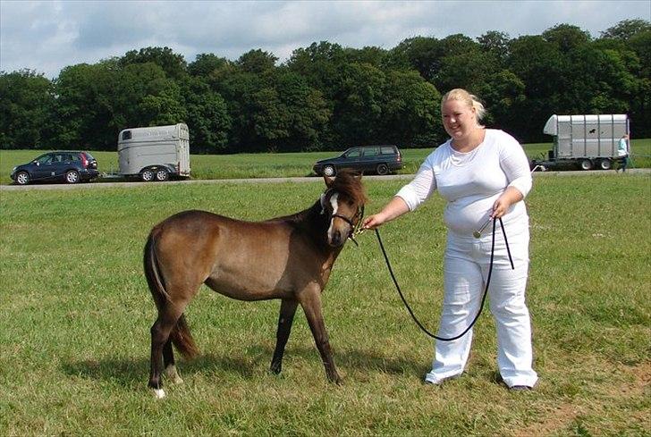 Belgisk Miniature BW's Madelen - Inde i ringen til race bedømmelse, fotograf susan billede 10