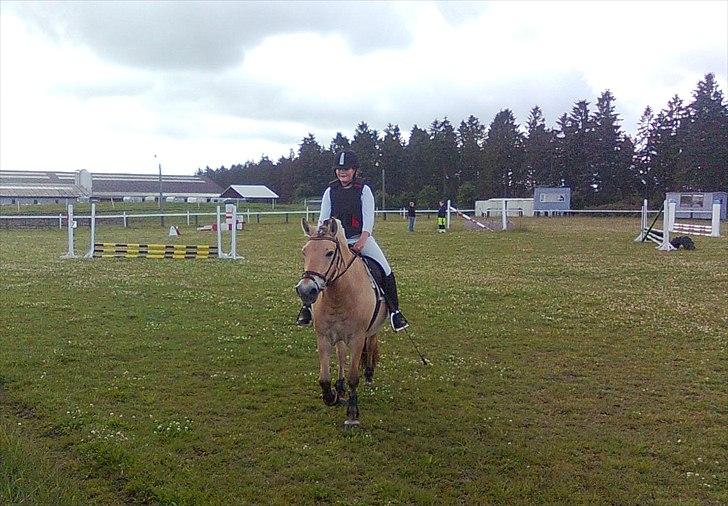 Fjordhest GRRK's Josefine [Tidl. Part]:'(<3 - Havde lige springet stævne på 50 cm:D 4 fejl, lige ved det sidste spring:-( billede 11
