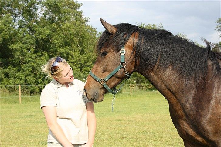 Holstener Prior´s Carmen billede 9