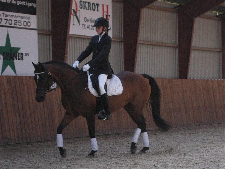 DSP Sa lee - Dressur stævne Lc3.

Foto: Far/Kaj
Juni-2011 billede 11