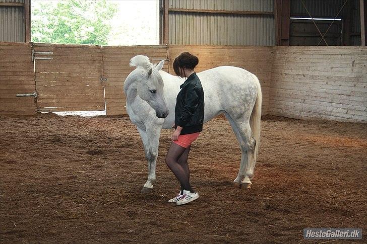 Anden særlig race Silver - Du er så utrolig tillidsfuld, selvom jeg ikke altid fortjener det.. Billede af Clara Egdal. billede 6
