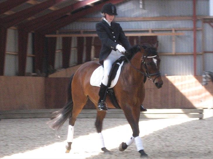 DSP Sa lee - Dressur stævne Lc3.

Foto: Far/Kaj
Juni-2011 billede 12