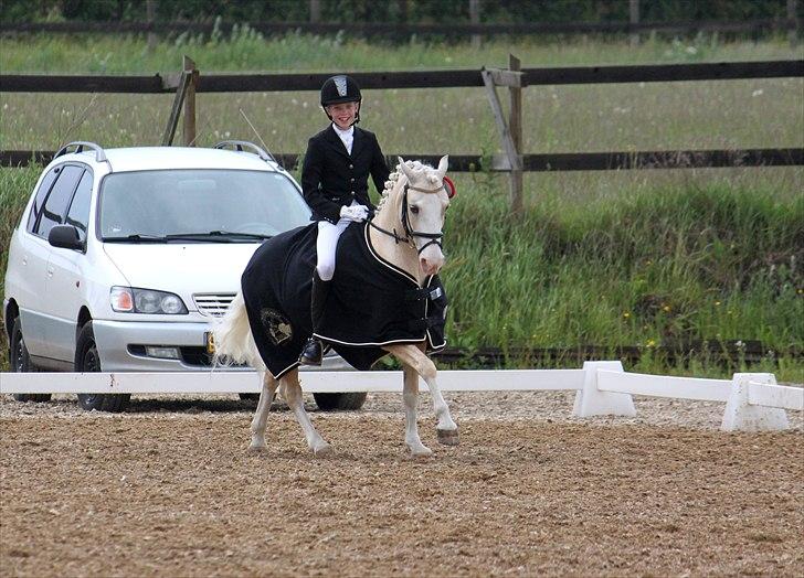 Welsh Pony af Cob-type (sec C) Rosengårdens Nakuma - 8# Distriktsmestre i dressur for kat. 3 2011 med 64,023 i LA1! :) D. 18/6-11. Foto: Mig billede 8