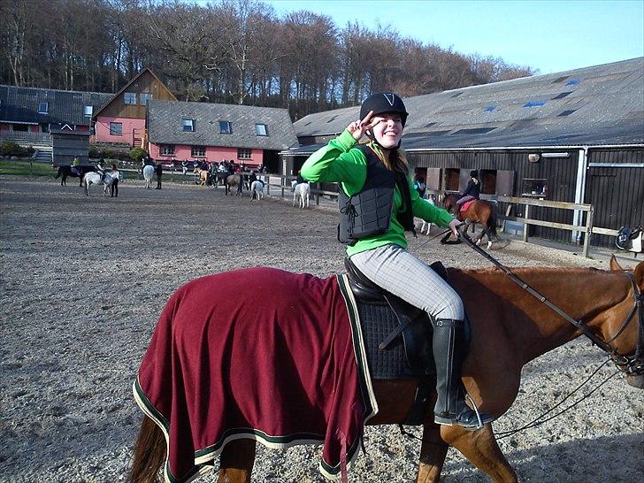 Oldenborg Tamino R.I.P billede 2