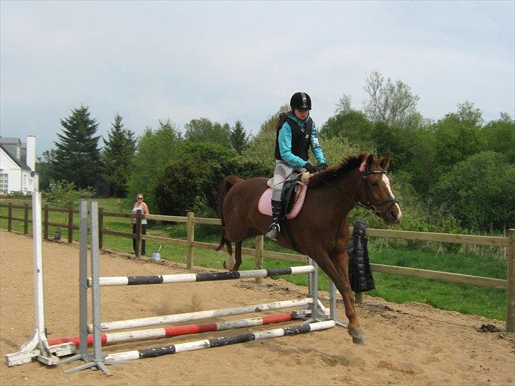 Hollandsk Varmblod | Lariemke | - først stopper hun og så springer hun billede 9