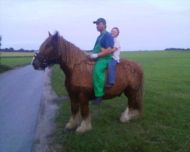 Jyde Knold - 18/6-11 Far og Mads rider en lille marktur på Knold billede 18