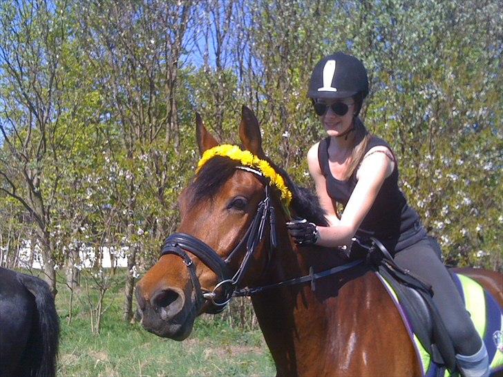 Anden særlig race Frederik Eliselund<3 billede 11