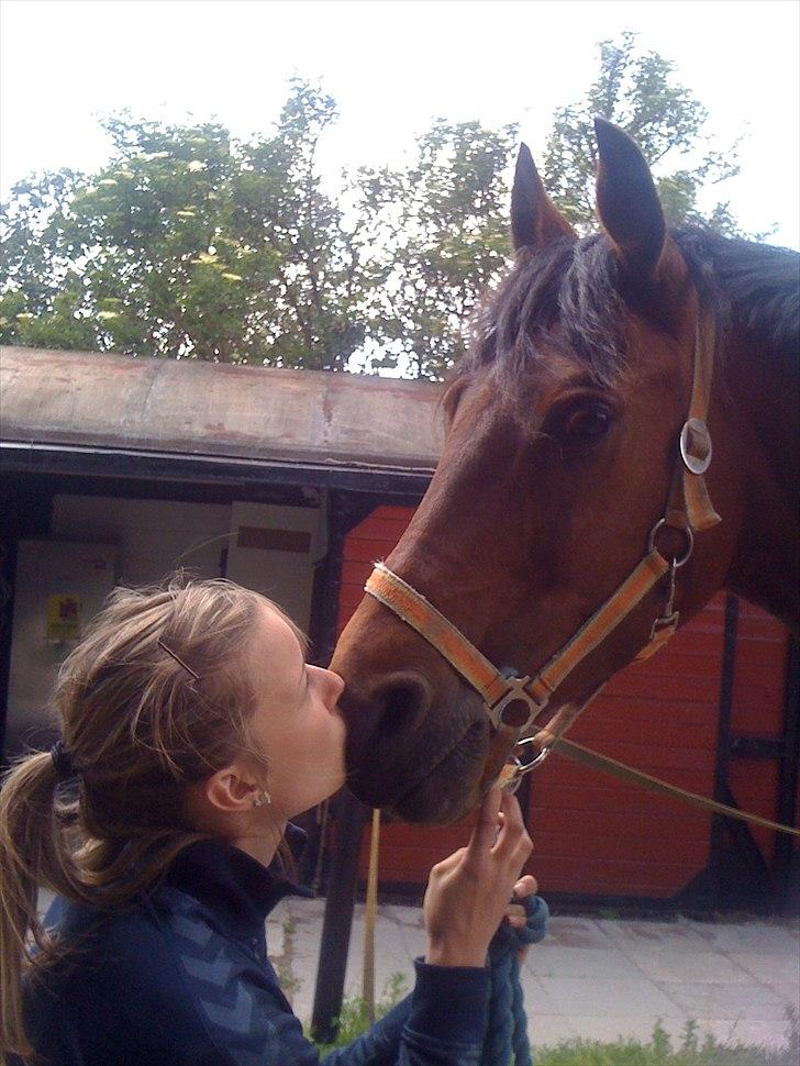Anden særlig race Frederik Eliselund<3 - Jeg elsker dig:* billede 14