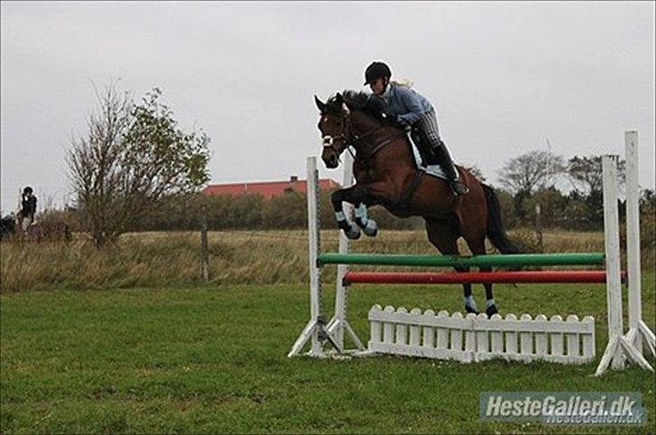 Anden særlig race Frederik Eliselund<3 billede 15