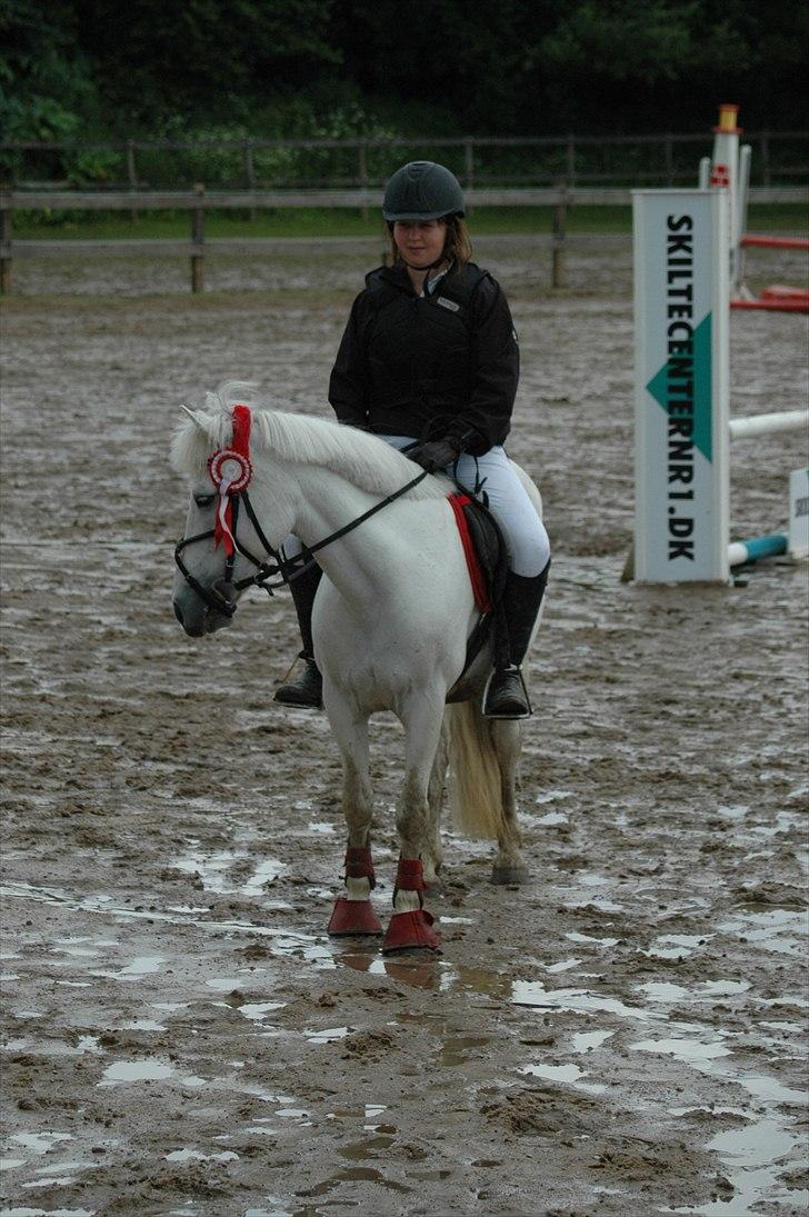 Anden særlig race Augusta :) (tidl pony,solgt) - >>' første plads ! <3 jeg elsker dig augusta !!!  foto : far billede 9