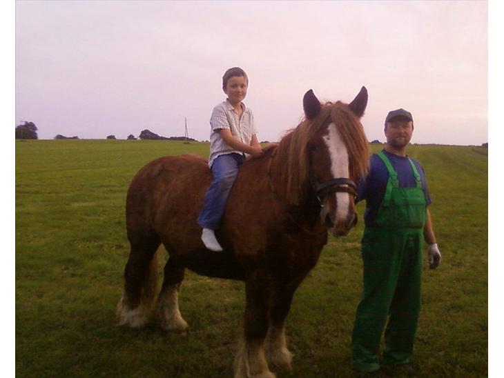 {{currentPhoto.altText}} billede {{currentPhoto.number}}