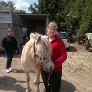 Fjordhest Højgaards Hella  