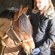 Anden særlig race Engtofts Bonita