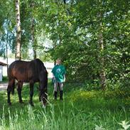 Anden særlig race Sonny Boy