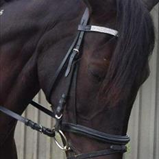 Traver BG Hannah (Tidl. part)