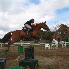 Traver Højvangen´s Play (solgt)