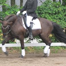 Islænder ~Orka fra Hofi l ~ DRESSURSTJERNEN!<3