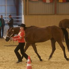 Quarter *SOLGT* Already Dunnit 