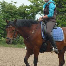 Connemara Maskenkol's Rebelix