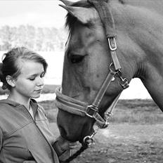 Anden særlig race Sir Thomas Ekipazas