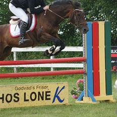Anden særlig race  TOFTEGAARDENS STAR-LIGHT