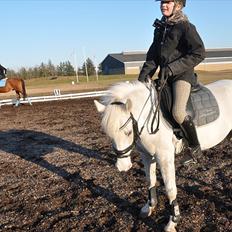 Anden særlig race G-Star