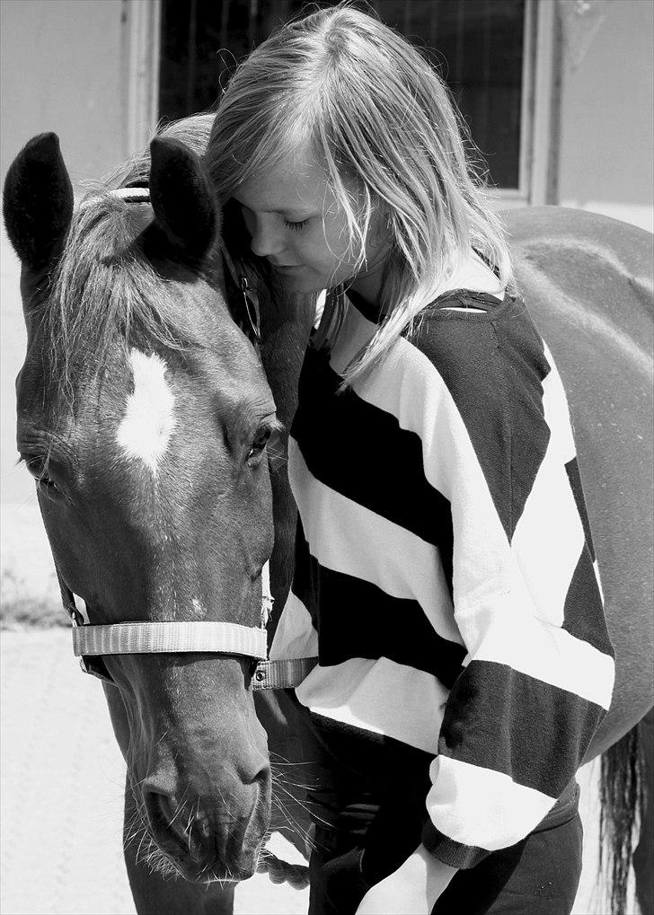 Anden særlig race Piccolo  - Du har sat dig fast i mit hjerte og der vil du altid blive! <3 [Foto: Emma Alberte Lundsgaard] billede 20