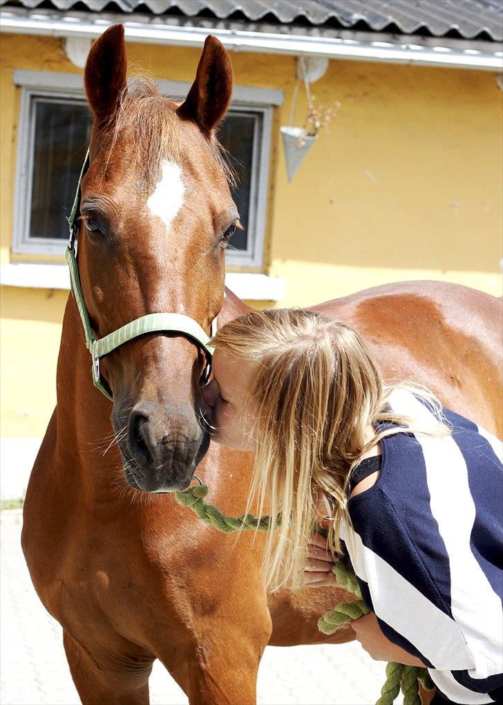 Anden særlig race Piccolo  - Du får al for mange kysser :'D [Foto: Emma Alberte Lundsgaard] billede 12