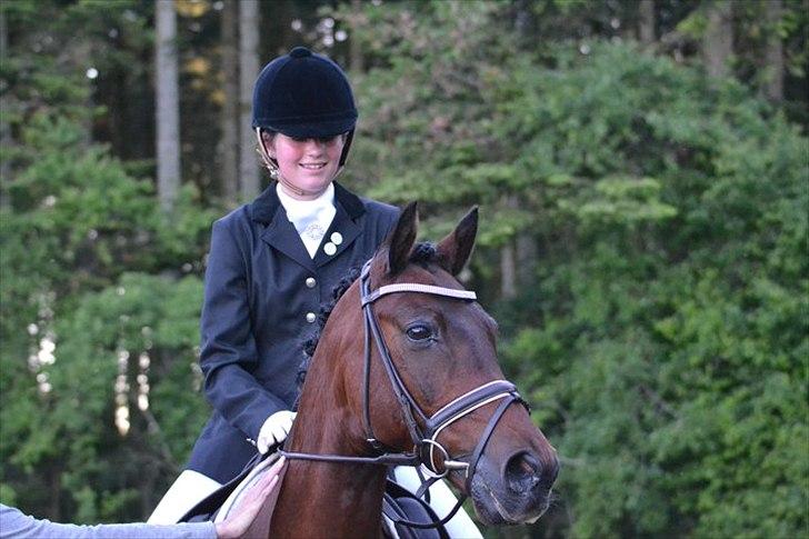 Anden særlig race Robin B-pony billede 1