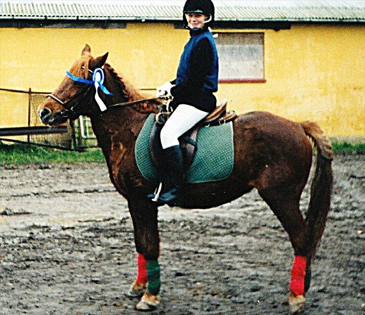 Islænder Hera - Hera og Michella med deres 1. og eneste placering :) billede 4