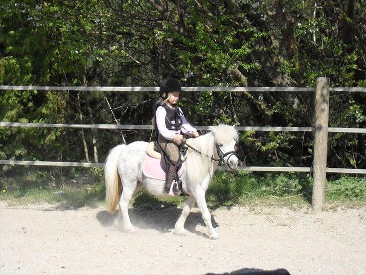 Miniature Emma Bredager billede 15