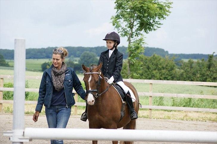 DSP Moonjam´s Mr. Bento billede 17