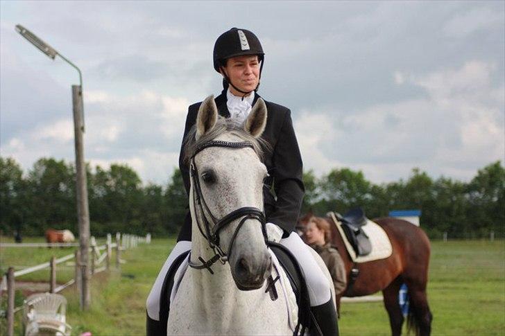 Hannoveraner Stella - *død* - 19/6-2011
første stævne hvor vi vandt LB! med 65,9% og LB3 med 63%
fuck havde lige glemt programmet et kort øjeblik og var den første :) billede 10