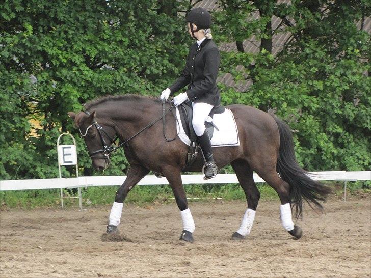 Islænder ~Orka fra Hofi l ~ DRESSURSTJERNEN!<3 - 7. 18/06/11 - HBRK


FOTO: Julie Rydahl, tak <3 billede 7