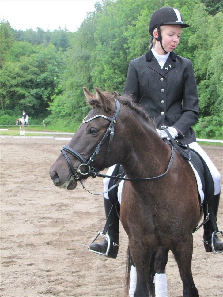 Islænder ~Orka fra Hofi l ~ DRESSURSTJERNEN!<3 - 2. 18/06/11 - HBRK

Præmieoverrækkelse - 2. plads :-)

FOTO: Julie Rydahl, tak <3 billede 2